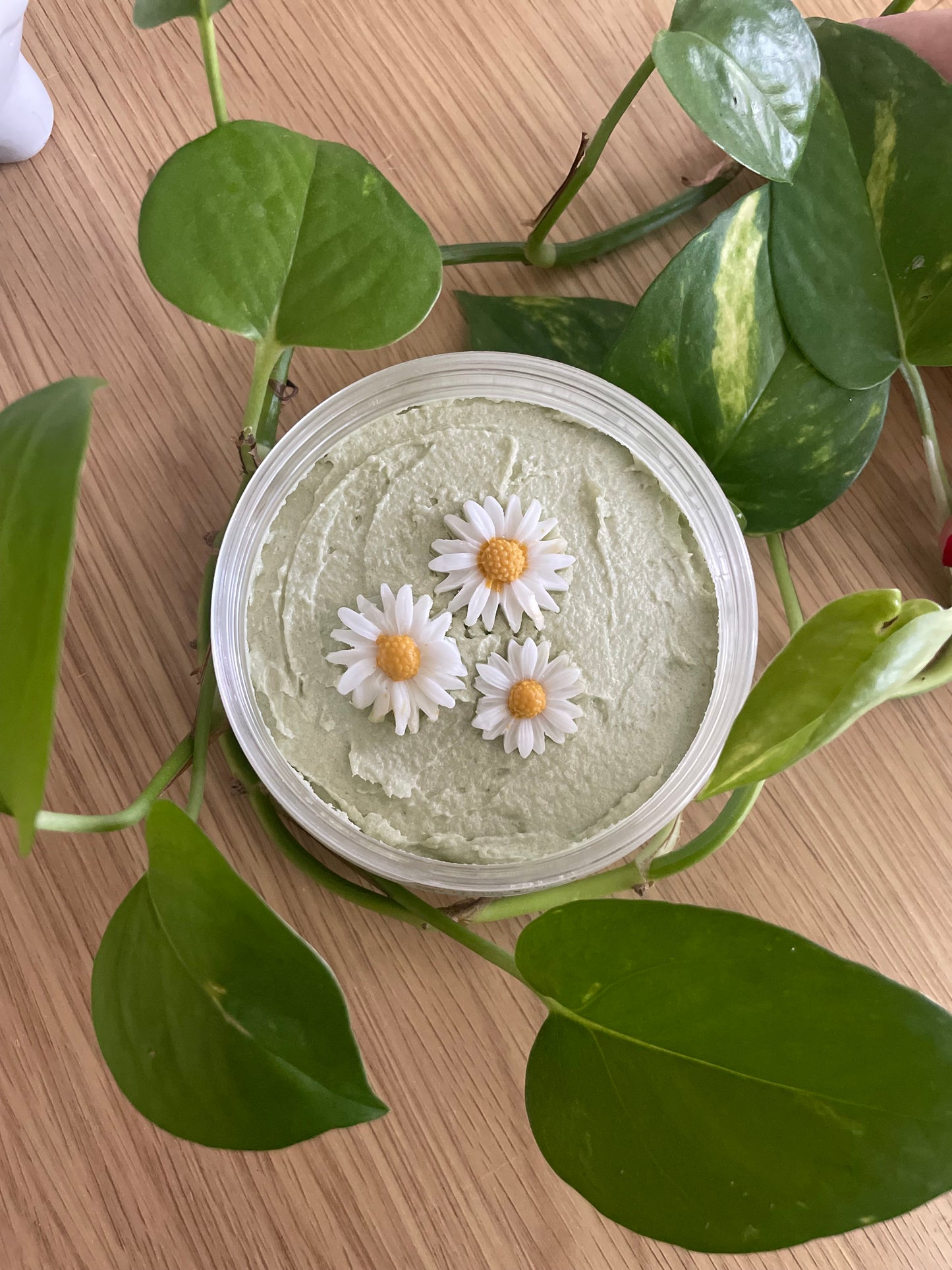 Daisy Bloom Detox | Foaming Sugar Scrub