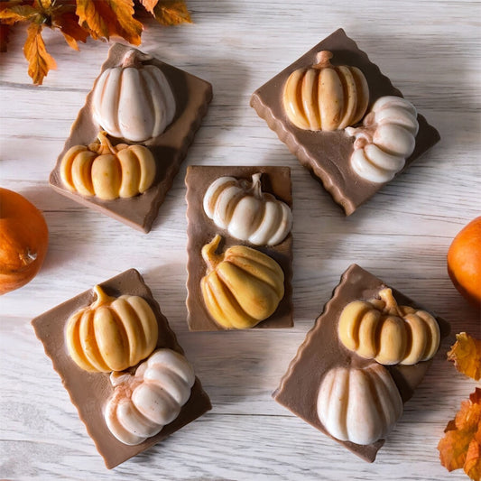 Pumpkin Patch | Bar Soap
